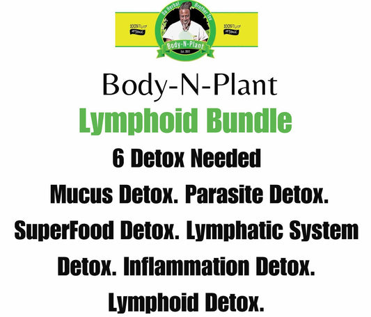 Lymphoid Bundle